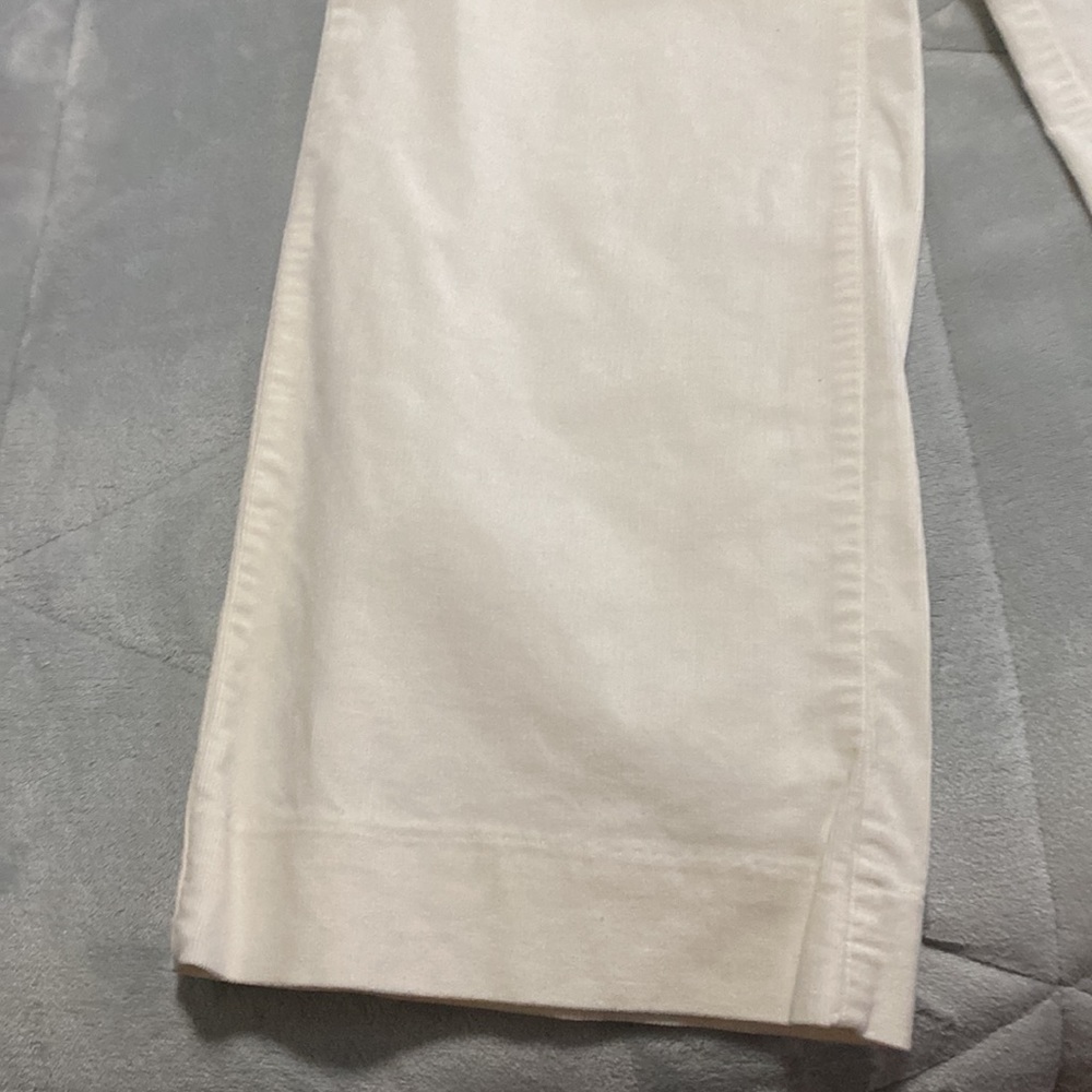 Banana Republic Corduroy Pants - Picture 3 of 10